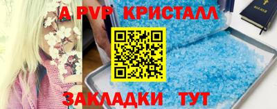 шишки Сланцы