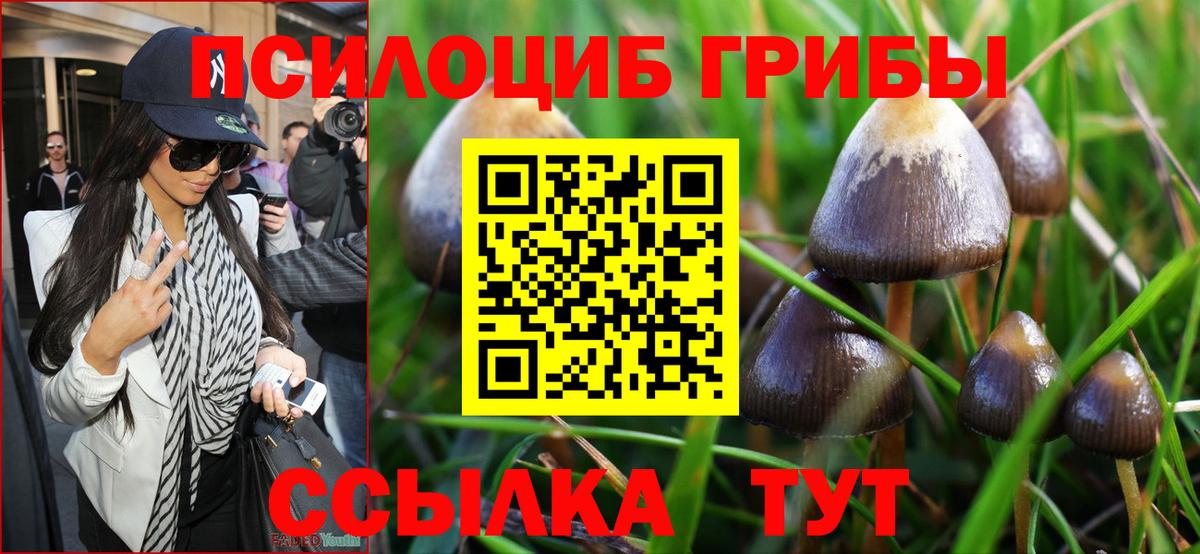 Галлюциногенные грибы мухоморы Новый Уренгой