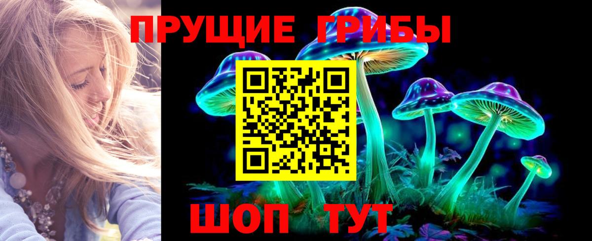 Псилоцибиновые грибы GOLDEN TEACHER  цена наркотик  Новый Уренгой  Псилоцибиновые грибы GOLDEN TEACHER  Вход с VPN 